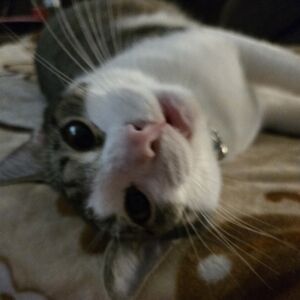 Meet your Posher, Aleshia